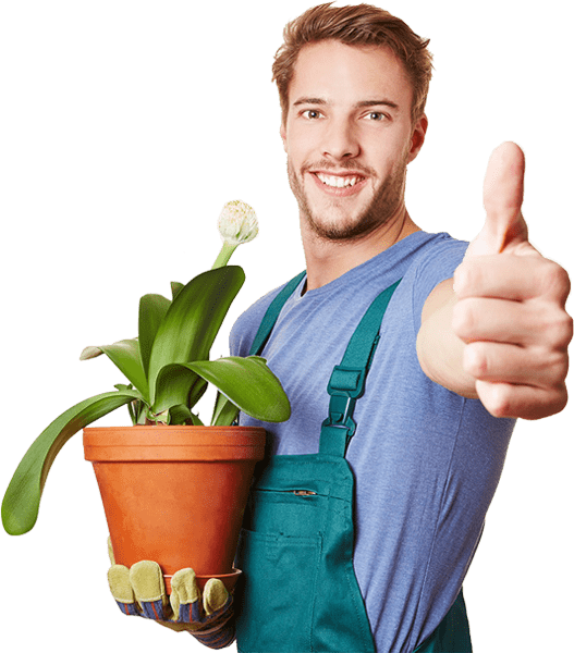 contact-form-inner-bg